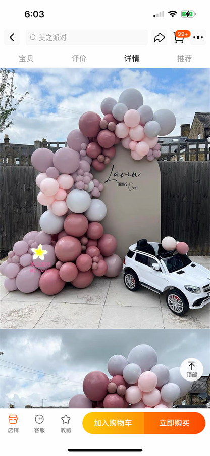 Mauve Balloon Arch Kit